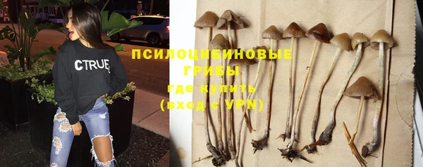 mix Зерноград