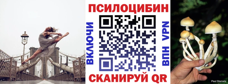 Псилоцибиновые грибы GOLDEN TEACHER  Купить где  Ейск 